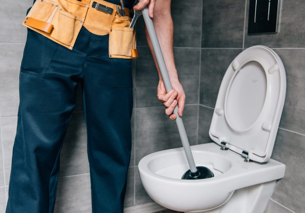 gallery-1.jpg gallery-1.jpg